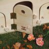 Blitzen-Motel-WP-casetta-cuccia-per-gatti-termoregolato-adatto-per-esterno-34-posti-0-4