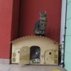 Blitzen-Motel-WP-casetta-cuccia-per-gatti-termoregolato-adatto-per-esterno-34-posti-0-7