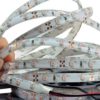 SODIALR-Striscia-luce-300-LED-3528-SMD-flessibile-blu-impermeabile-da-5-metri-12-V-0-1