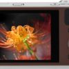 Samsung-WB350F-Smart-Camera-163-Megapixel-Display-30-Pollici-Marrone-0-0