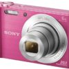 Sony-DSCW810PCE3-Cyber-shot-Fotocamera-Digitale-Compatta-Rosa-0-0