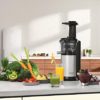 Panasonic-MJ-L500SXE-Slow-Juicer-Sistema-di-Estrazione-Senza-Lame-Accessorio-Ricette-di-Frutta-Ghiacciata-Acciaio-0-0